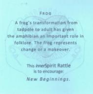 Description of the frog spirit rattle